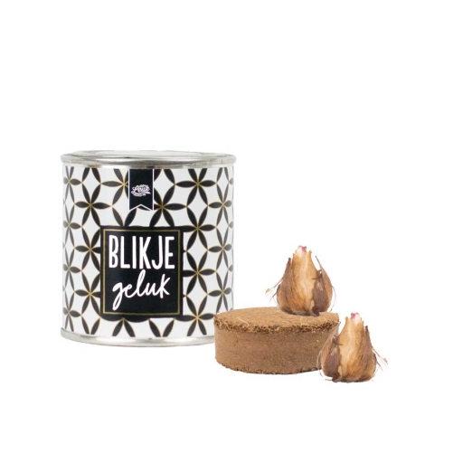 Gelukkig heb ik jou! Ik wens je veel geluk toe! Dit blikje is gevuld met klavertje vier bolletjes en een grondtablet. Door het te verzorgen met water, liefde en beetje licht kweek je binnen en een hand omdraai je eigen geluk!

1