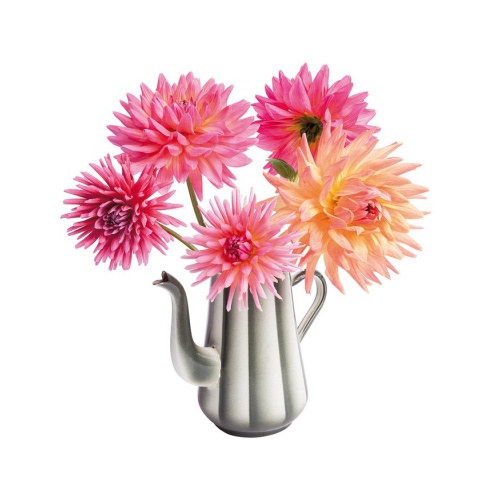 Altijd een vrolijke bos bloemen voor je raam!
Zichtbaar van binnen en buiten!! Tweezijdig bedrukt.
