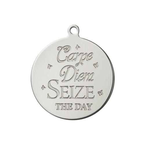 Pinkiezz stainless steel munt. De munt is 40mm groot en daarmee echt een eyecatcher de munt is net als alle andere items voor aan de Pinkiezz muntketting gemaakt van stainless steel
