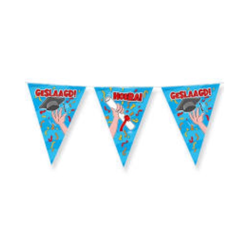 De vlaggetjes slinger Geslaagd school cartoon is een graag geziene gast op een feestje. Door de gebruikte kleuren vallen deze party vlaggen dan ook extra goed op! De vlaggetjes zijn gemaakt van plastic .