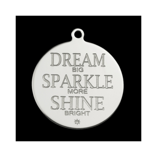 Pinkiezz stainless steel munt. De munt is 40mm groot en daarmee echt een eyecatcher de munt is net als alle andere items voor aan de Pinkiezz muntketting gemaakt van stainless steel