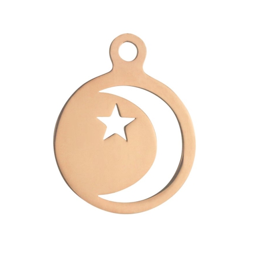 Pinkiezz charm rose de charm is 22mm groot en valt mooi voor de munt de charm is net als alle andere items voor aan de Pinkiezz muntketting gemaakt van stainless steel.