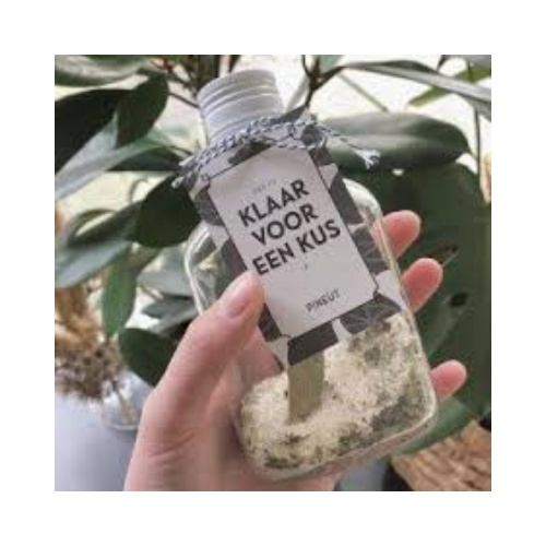 Pineut Klaar voor de Klus    Zakflacon