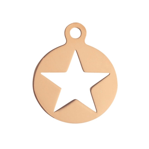 Pinkiezz charm rose de charm is 22mm groot en valt mooi voor de munt de charm is net als alle andere items voor aan de Pinkiezz muntketting gemaakt van stainless steel.
