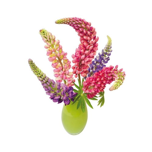 Altijd een vrolijke bos bloemen voor je raam!
Zichtbaar van zowel als binnen als buiten, tweezijdig bedrukt.
